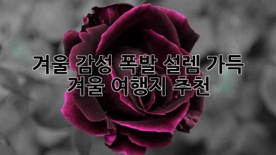 ❄️ 겨울 감성 폭발! 설렘 가득 겨울 여행지 추천 ☃️